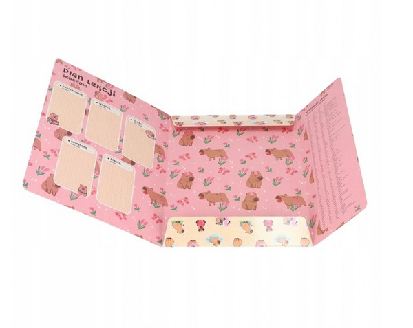 Teczka z gumką A4 Kapibara mix 583303 STARPAK